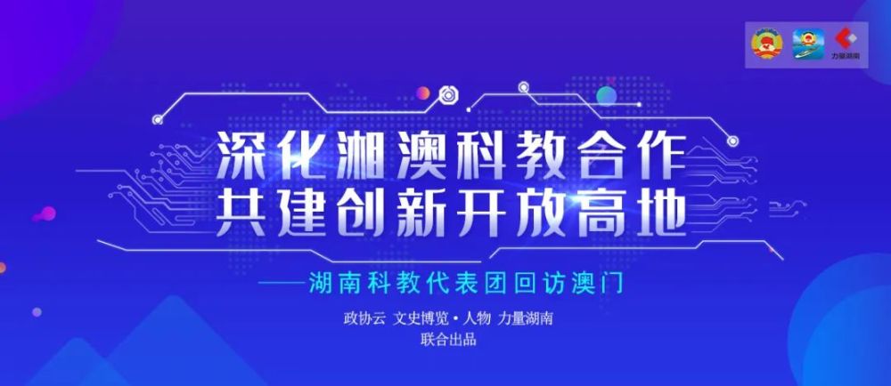 新澳精准资料免费提供与濠江论坛，热门释义解释落实的探讨